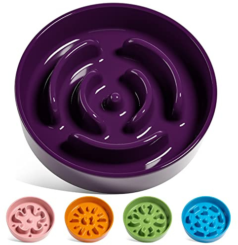 LE TAUCI Cuencos de cerámica de alimentación Lenta para Perros de Raza pequeña, Plato de Comida para Perros y Gatos pequeños, púrpura, S-350 ml