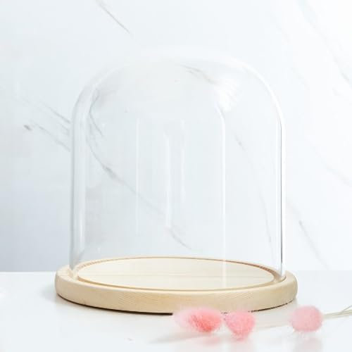 RJMPUCUT Glass Dome Diameter 7, Decorative Glass Cloche Bell Jar Display Dome, Dust Proof Glass Display Dome with Solid Wood Base Office Home Desktop Ornament Decoration