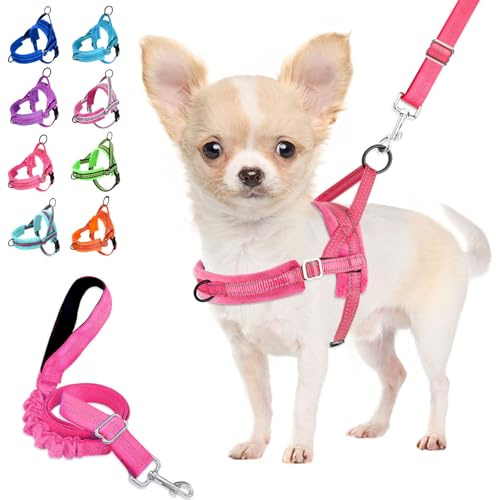 Lukovee No Pull Dog Harness and Leash Set, Soft Padded Small Dog Harness, Neck & Chest Adjustable Reflective Vest Puppy Harness with 4ft Lightweight Anti-Twist Dog Leash for Small Dogs (S, Pink)