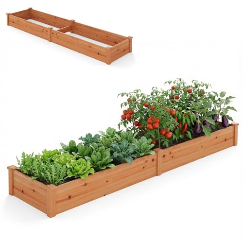 HOMASIS Letto Rialzato da Giardino in Legno di Abete, Fioriera da Esterno senza Fondo per Erbe, Verdure, Piante, Letto di Coltivazione da Balcone, Terrazza, 240x60x25 cm (Marrone Rossiccio)