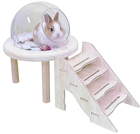 Toalettlåda för hamster - Toalett för Smådjur,Genomskinligt Badkar Chinchilla med Stege | För gnagare gerbil, kanin och igelkott
