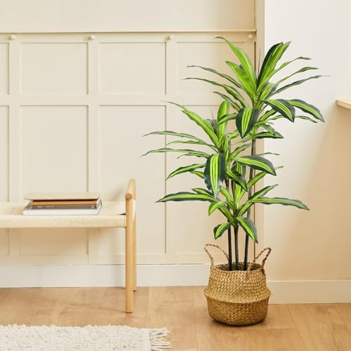 BLAINE | Dracaena 150cm | Dekorativa konstväxter | Stor konstväxt | Konstväxter för inom- och utomhusbruk | Realistisk dekorativ konstväxt för hemmet