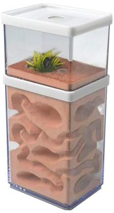 Ferme de nid de Fourmis en plâtre écologique, formicarium de château de Fourmis, boîte d'alimentation de Villa d'insectes for expérience Scientifique et Cadeau d'étude Boîte à Fourmis