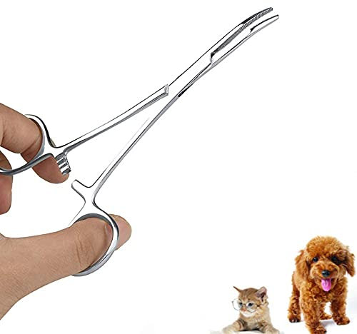 Oumefar Pince à épiler en acier inoxydable pour animaux de compagnie ciseaux de toilettage domicile pour chien nettoyage du visage pince droite(Big)
