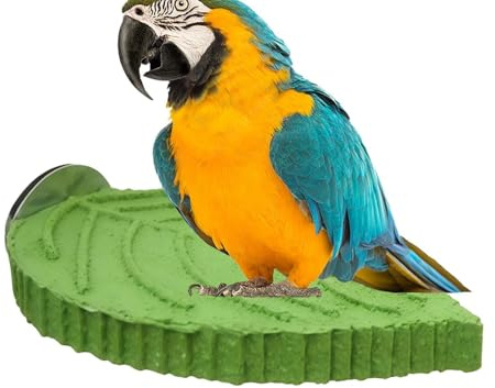 Fågelpinne i vegetabiliskt mönster, fågelsittpinnar för kalopsitter | för Conure, ara, kanariefågel, oskiljaktig - klovård, näbbklippning och matsökning