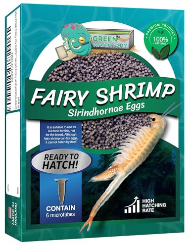 GreenWaterFarm Fairy Shrimp Sirindhornae Eggs Live Fish Food for Hatching and Culture Suitable for Feed Betta Fish