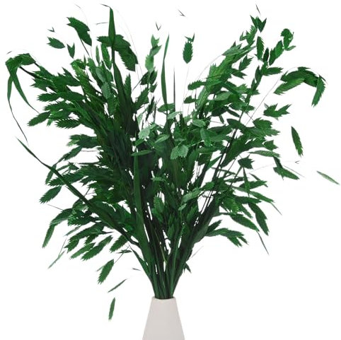 M METERXITY 20-Pz Mazzo Erba Essiccata 17 Chasmanthium Bouquet Fiori Secchi Erba Avena per Riempitore Vasi/Decorazione Casa Fiori Secchi Arrangiamento Pianta Reale Steli Verdi [Verde]