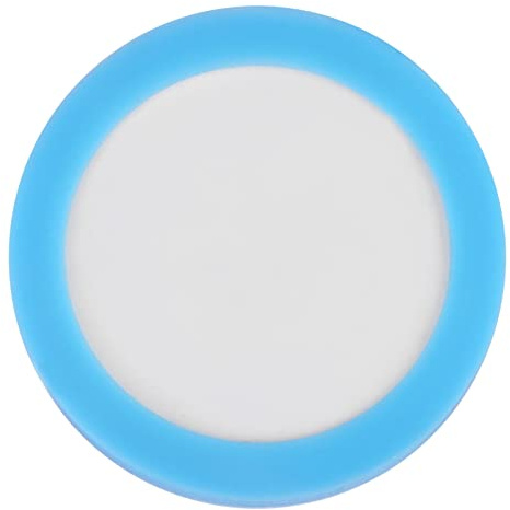 CO2 Diffuseur Céramique Disque 3,05cm pour Aquarium Remplacement Diffuseur CO2 Céramique Disque pour Aquarium