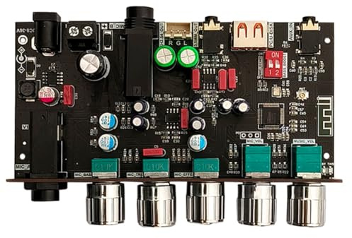 iFutniew DAM H1 Karaoke Reverb-kort, USB-avkodskort, mikrofon, frontsteg, mikrofon, sjunger med Bluetooth, USB-avkodningskort (B)