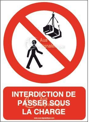 AUA SIGNALETIQUE - Panneau Interdiction de Passer sous Une Charge-AI - 450x630 mm, PVC 1.5mm