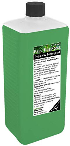 Engrais pour Palmier Ligne Professionnel - Traitement HIGH-TECH pour Racines et Feuilles