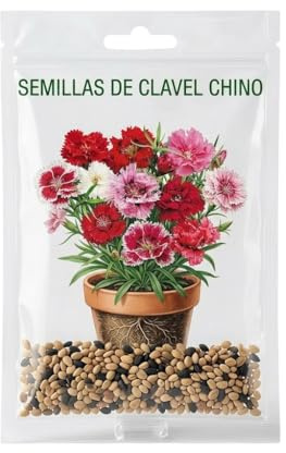 Clavel Chino Decorativo para Jardín y Terraza | Semillas de Clavel Chino para Cultivo Fácil en Macetas – DECOALIVE