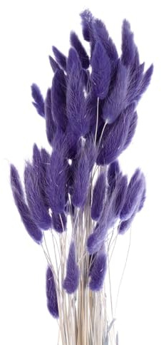 QUARKZMAN 60 st naturliga kaninsvansar, torkade blommor, 24 tum, mini pampagräs, Lagurus Ovatus bukett för julbröllop, blomdekoration, mörklila