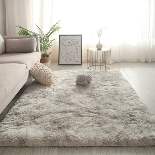 Swsen Tapis de Salon Shaggy Ultra Doux - Moelleux et Lavable - Tapis Moderne pour Chambre avec Dessous Antidérapant, 60 x 90 cm, Gris Clair