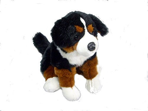 Teddys Rothenburg Kuscheltier Berner Sennenhund sitzend braun/weiß/schwarz 20 cm Plüschhund Plüschtier