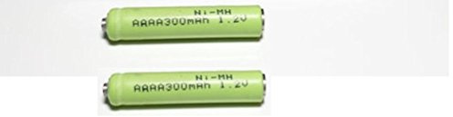 Queentona 2 AAAA, Rechargeable, Button Top Battery,