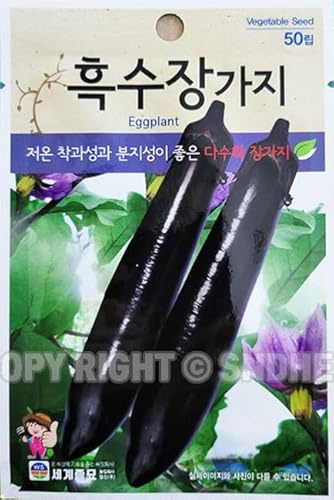 Eggplant Plant Seeds Korean, 1 Pack, 4 Grams (가지)