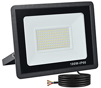 treoir Focos LED Exterior 100W,Proyector LED 10000LM Foco LED,IP66 Impermeable 6000k Foco Proyector Led para Jardín,Garaje,Patio,Almacén,Estacionamiento(100W,Luz fría)
