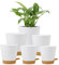 Homeuouz 6 Pack Plastic Plant Pots,Self Watering Plant Pots Indoor,20/17.5/16.5/15/14/12.5CM,Medium Flower Pots with Drainage Holes Saucer and Reservoir for All House Plants(White)