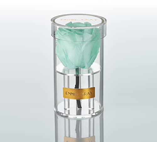 EG EMMIE GRAY Crystal Infinity | Akryl | – drömlik Infinity ros, 1–3 år hållbar ros, akrylburk med äkta, konserverad ros, ädel premiumros (Minty Green)