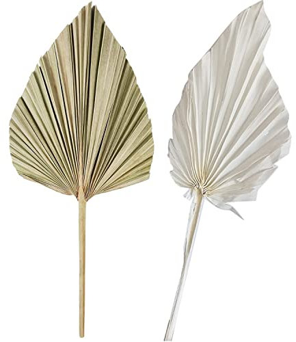 Yeesabella 2 PCS Dried Palm Leaves, Natural Spears, Small Fan for Boho Home, Party, Wedding, Decorating, DIY Bouquet Arrangement
