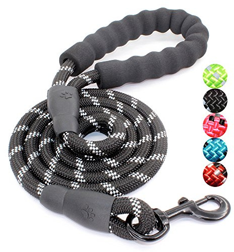 BAAPET 2/4/5/6 FT Dog Leash with Comfortable Padded Handle and Highly Reflective Threads for Small Medium and Large Dogs (5FT-1/2'', Black)