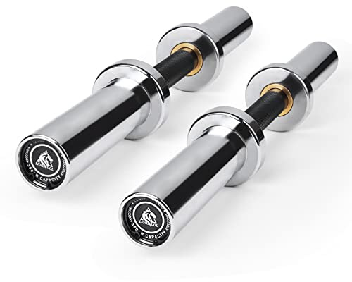 LIONSCOOL 16/20” Loadable Dumbbells Pairs in Commercial Grade, Heavy Duty Olympic Dumbbell Bar/Handle for Strength Training, Compatible with 2’’ Standard Plates (Silver Chrome, 20 INCH)