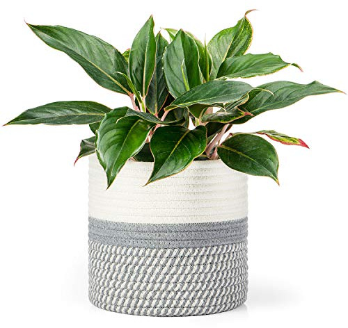 Dahey Jute Cotton Rope Plant Basket Mini Woven Storage Basket for Up to 7 Planter, 7.5 x 8 Decorative Flower Pot Cover Closet Storage Bin Table Desk Organizer Modern Home Decor, Grey