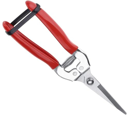 Forbici Giardinaggio, Forbici da Giardino Potatura con lama affilata e in acciaio inox, Lama Dritta Forbicis Multiuso per Potare Rami in Giardino e per Potare Fiori, Rosso