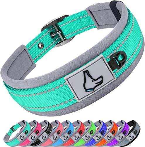 Joytale Collar Perro Grande Resistente, Reflectante Ajustable de Acolchado Neopreno Nylon, Turquesa, L