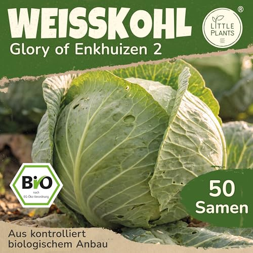 Little Plants BIO Weißkohl Samen 50 Weißkohlsamen Glory of Enkhuizen Weißkraut Gemüsesamen Gemüsesaatgut für Gemüsegarten, Hochbeet, Küche, Balkon und Garten