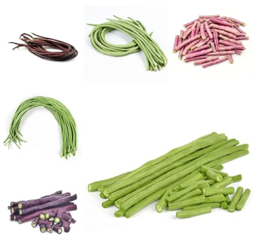Frijol medidor - semillas de frijol en macetas resistentes espárrago, caupí sostenibles variedades raras de antiguos Comprar hortalizas invierno 65semillas