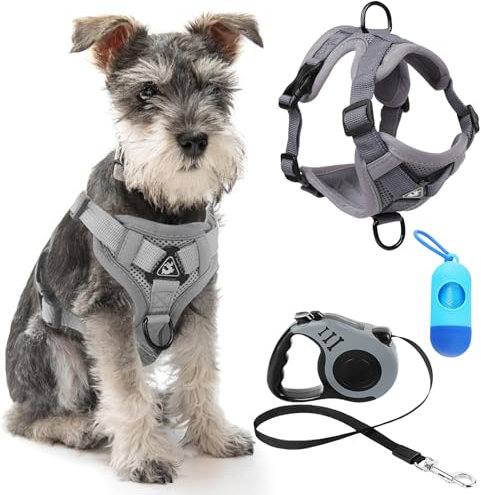 GOMETY Katzengeschirr und Katzenleine Set, Katzen Geschirr Verstellbar Automatisch Einziehbare Katzen Leine mit Toilettenmüllsack für Kleine Hunde Weniger als 5 kg, Ausbruchsicher Set (M, Grau)