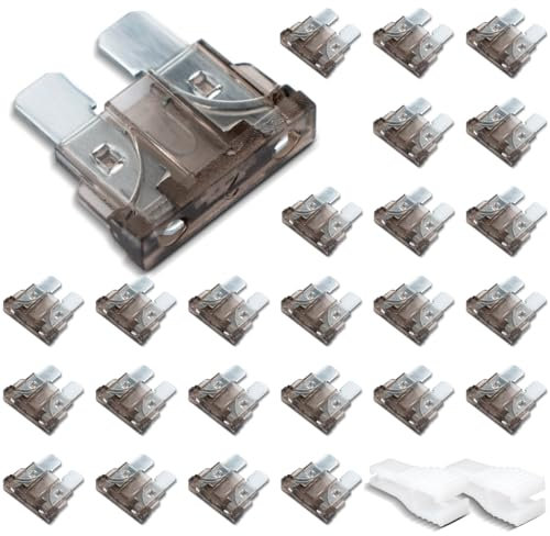 Innfeeltech 25 pièces de fusible automobile standard, fusible plat 2A avec 2 clips en plastique pour voiture, camion et moto