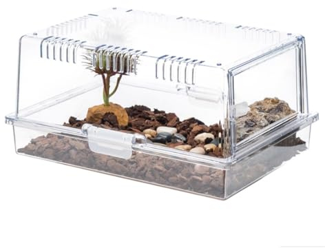 AMYSTY Terrario per Rettili Terrari for Ragni, Contenitori for Insetti, Contenitori for L'alimentazione in Plastica Scatola per Insetti