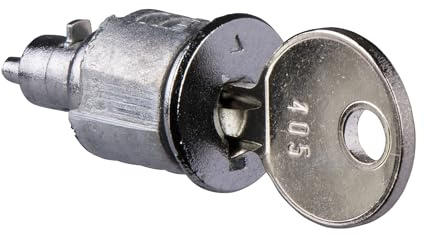 Serrure à clé pour coffrets PrismaSeT S et XS Schneider Electric - Cylindre - Métal
