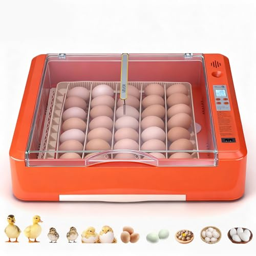 VEVOR Incubadora Huevos, Volteadora Automática con Indicador LED, Pantalla de Temperatura y Control de Humedad, Ventana Transparente con Vista 360°, para Pollitos, Patos (36 Huevos)
