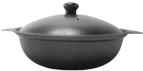 TOPPERFUN Cazuela de Hierro Fundido 16 Cm Tapa para Guisar Comida, Olla para Estofado y Sopa, Cacerola de Cocina Resistente y Fácil de Limpiar para Arroz Pollo y Bibimbap