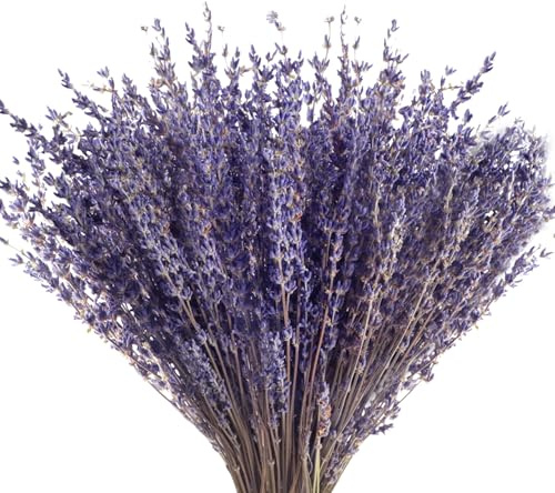 Lavande séchée, Bouquet de Fleurs séchées, compositions DIY pour la décoration de Votre Chambre et de Votre Salon (100 g)
