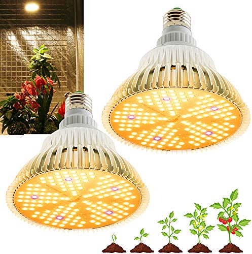 100W LED Pflanzenlampe, Vollspektrum Pflanzenlicht, E26/27 Sockel Pflanzenlampe LED Glühbirne, Gewächshaus, Hydroponische Pflanzen, Gemüse, Sämling Gemüse, Blumen, 2 Stück
