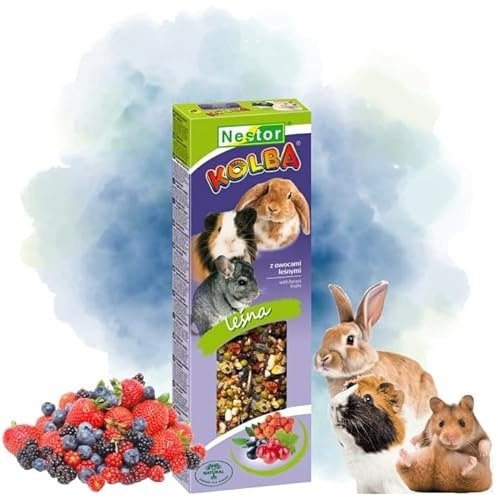 Twin Pack Hamster and Rabbits Two Sticks Food FOREST FRUITS Flavor 115g Guinea Pig Rat Mouse Gerbil Rodents Animal Pet Vegetable Foods Pack of Two Snacks or Treats with Hooks
