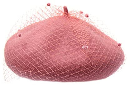WALLBIG Béret for Femmes Dames Hiver Laine bérets Vintage Filet Voile Motif Peintre extérieur élégant Bonnets Bonnet Chapeau (Color : Pink, Size : One Size)