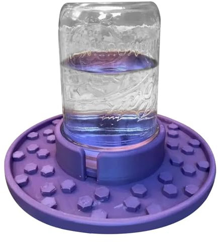 Bienenfutterspender für Einmachgläser mit normaler Öffnung, Bienenbewässerungsstation für Einmachgläser, Einmachglas-Zuckerwasser-Futterspender für , Futterspender für Bienenstöcke, Futterspende