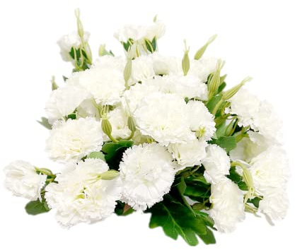 Lot de 4 bouquets de fleurs artificielles en soie blanches permanentes et feuilles vertes pour fête à la maison, mariage, festival, décoration avec 10 fleurs par bouquet - 30,5 cm