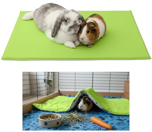 NEO SOLVO Fleece lekplatsmatta för marsvin och kanin - allt i ett, det är en filt, en jättetunnel, ett hus, en kudde och en säng - 60 cm x 120 cm - grön