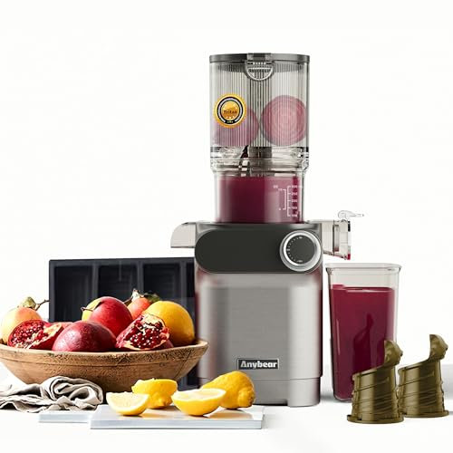 Anybear slow juicer auger