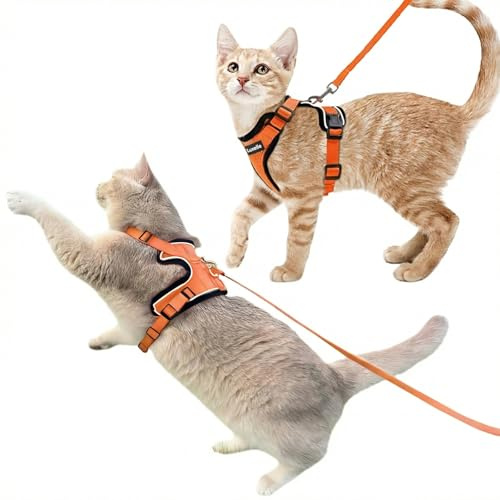 Luxelle 2 Pack Escape-Proof Cat Harness and Leash Set for Walking – Adjustable No Pull Soft Vest with Easy-Wear Buckle, Reflective Straps, Breathable Mesh – Outdoor Travel Harness for Cats & Kittens