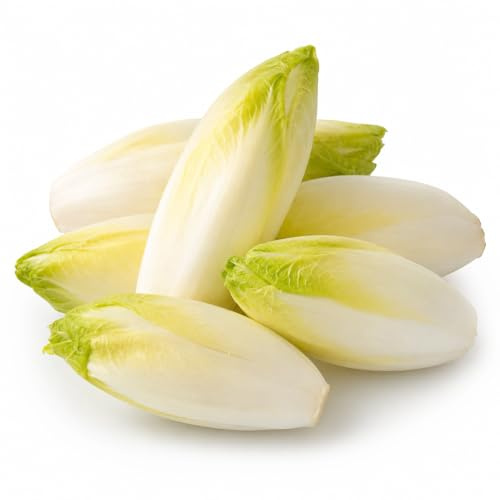 800 Semi Cicoria Witloof Belga – Varietà da Indivia Belga a Cespo Allungato | Cicoria Croccante e Delicata per Orto e Forzatura | Semi da Orto per Coltivazione Domestica