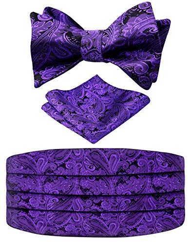 Alizeal herr klassisk paisley självknuten justerbar fluga, kummerbund och ficknäsduk set, 133-mörklila, en storlek