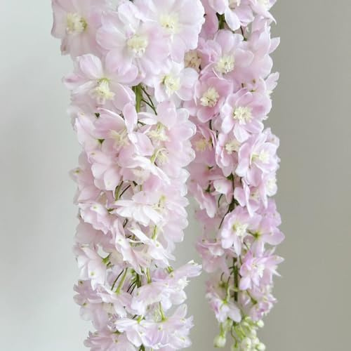 semi resistenti del delphinium, delphinium, ombra da balcone resistenti, decorativi, 800pcs